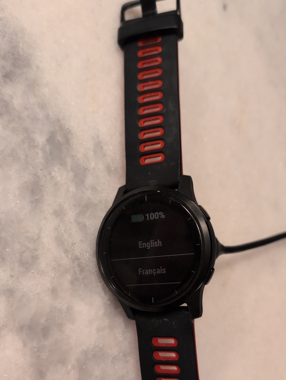 Garmin Vivoactive 4 Smartwatch